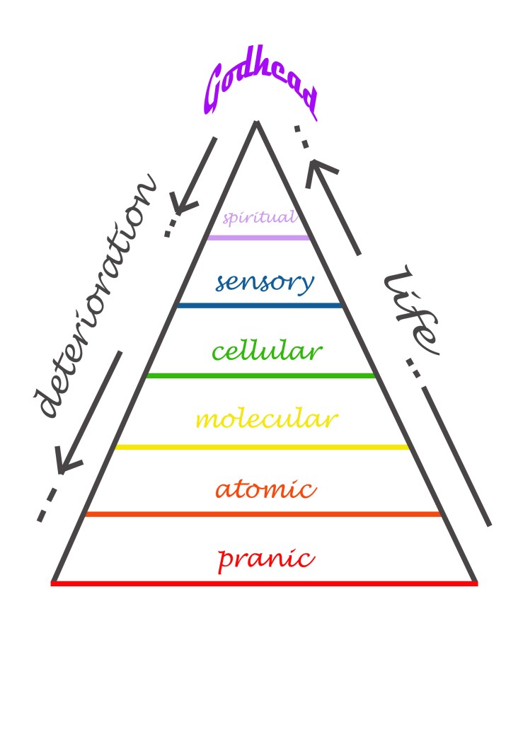 The Biostrata