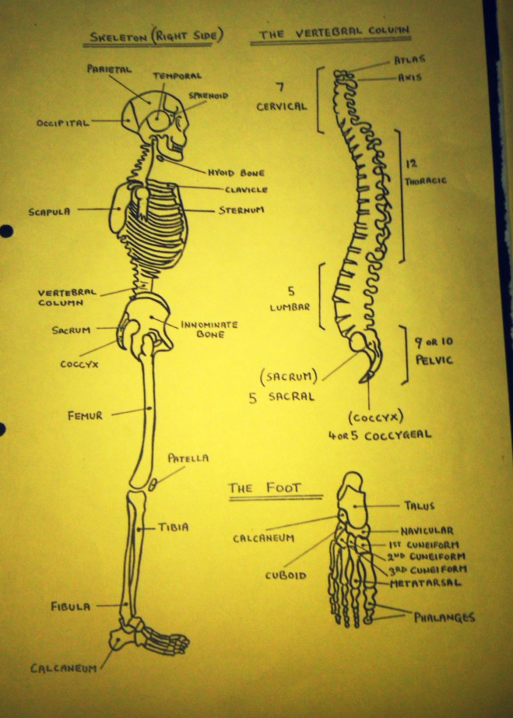 IMG01104-20130401-1947