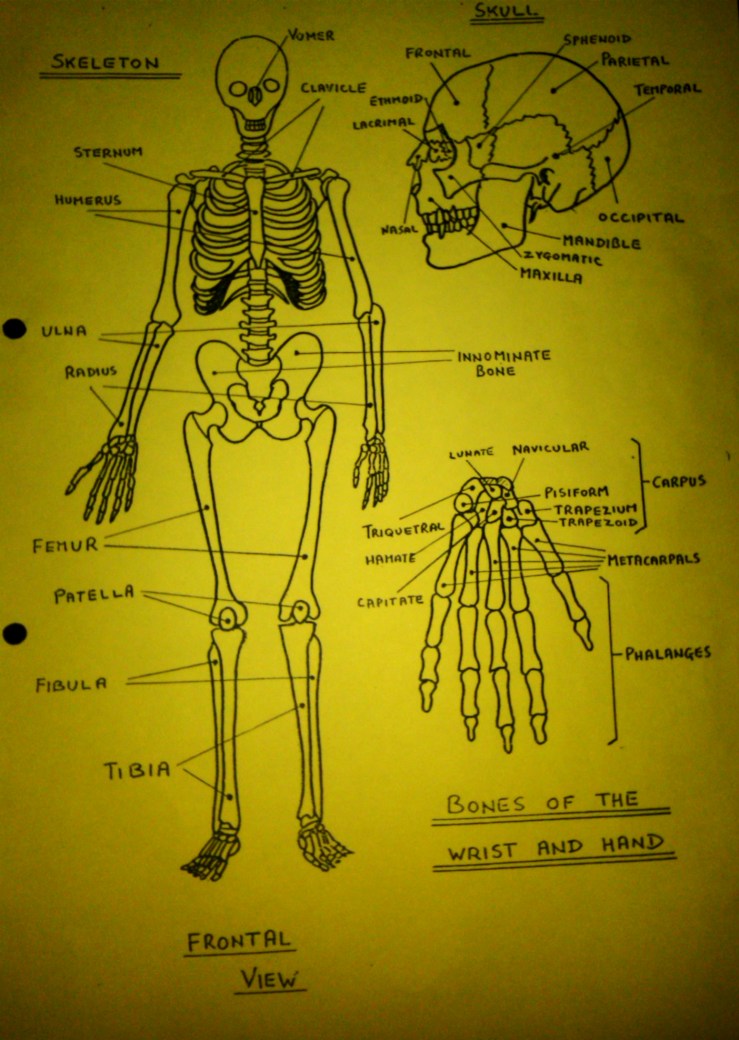 IMG01105-20130401-1947
